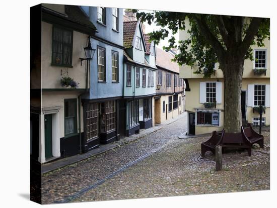 Old Buildings on Elm Hill, Norwich, Norfolk, England, United Kingdom, Europe-Mark Sunderland-Premier Image Canvas