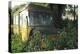 Old Bus in Woodland-Clive Nolan-Premier Image Canvas