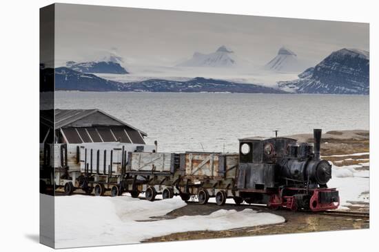 Old Coal Train with Snow-Eleanor-Premier Image Canvas