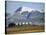 Old Colliery Locomotive, Ny Alesund, Spitsbergen, Norway, Scandinavia-David Lomax-Premier Image Canvas