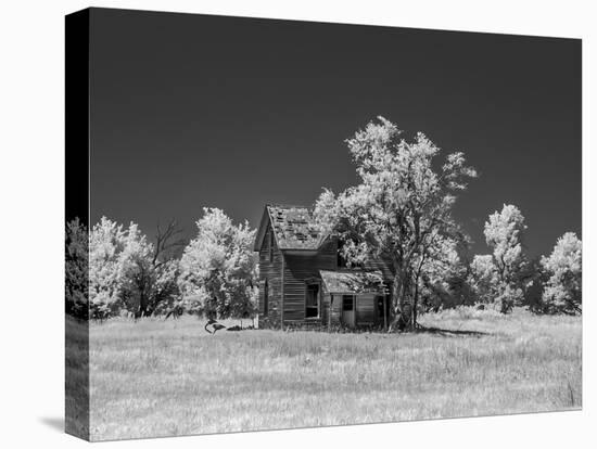 Old deserted farm house with plow-Michael Scheufler-Premier Image Canvas