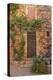 Old Door and House Facade in the Provence-Andrea Haase-Premier Image Canvas