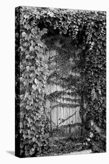 Old Doorway, Cruzy, Languedoc-Roussillon, France-null-Premier Image Canvas