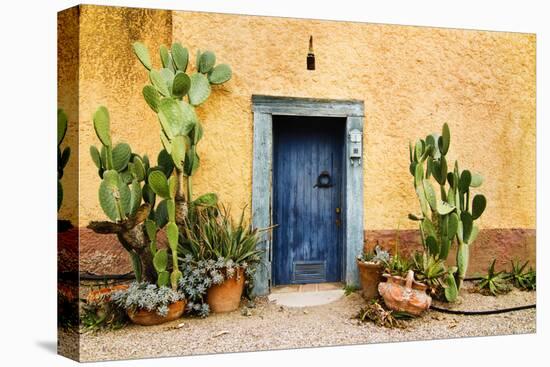 Old Doorway Surrounded by Cactus Plants and Stucco Wall.-BCFC-Premier Image Canvas