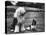 Old English Sheep Dog with Little Shih Tzu Dog-Yale Joel-Premier Image Canvas