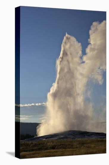 Old Faithful Geyser Erupting, Yellowstone National Park, UNESCO World Heritage Site, Wyoming, USA-Peter Barritt-Premier Image Canvas