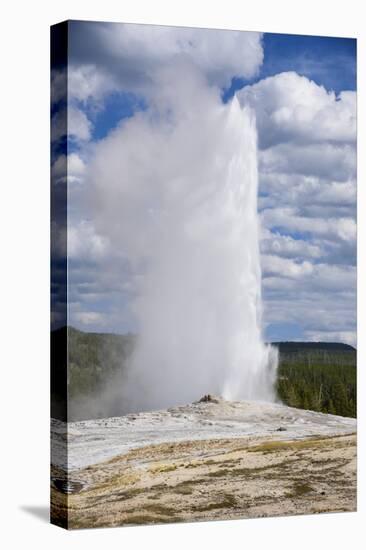 Old Faithful Geyser, Upper Geyser Basin, Yellowstone National Park, Wyoming, U.S.A.-Gary Cook-Premier Image Canvas