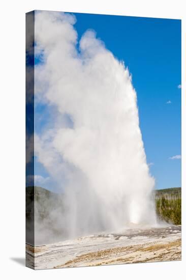 Old Faithful Geyser, Yellowstone National Park, Wyoming, United States of America, North America-Michael DeFreitas-Premier Image Canvas