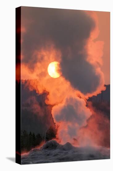 Old Faithful Geyser Yellowstone National Park, Wyoming-Michael DeFreitas-Premier Image Canvas