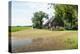 Old Farm House in A Dutch Polder Landscape-Ruud Morijn-Premier Image Canvas