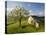 Old Farmhouse, Pergusa, Enna, Sicily, Italy-Walter Bibikow-Premier Image Canvas