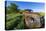 Old Feed Truck Near Medora, North Dakota, Usa-Chuck Haney-Premier Image Canvas