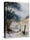 old fence-Pol Ledent-Stretched Canvas