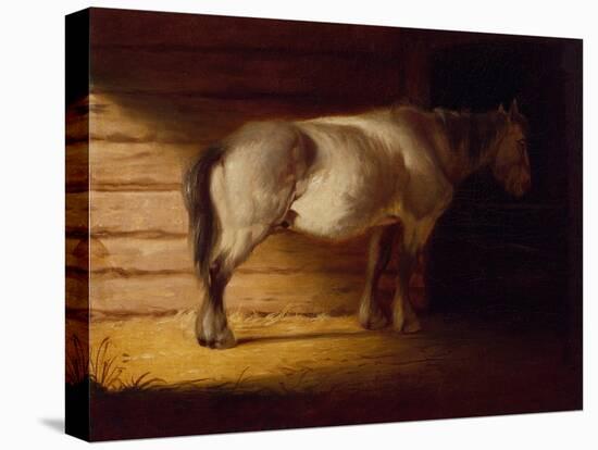 Old Field Horse, by 1856-George Caleb Bingham-Premier Image Canvas