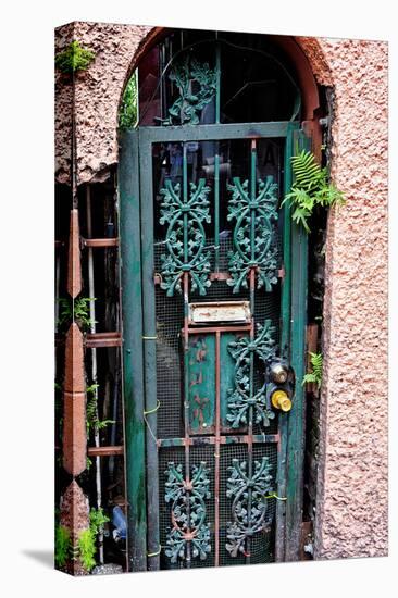 Old French Door, New Orleans, Louisiana, USA-Joe Restuccia III-Premier Image Canvas