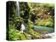 Old-Growth Rainforest, Graves Creek Tributary, Olympic National Park, Washington State, USA-Stuart Westmorland-Premier Image Canvas