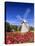 Old Higgins Farm Windmill-Michael Blanchette-Premier Image Canvas