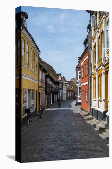 Old Historical Houses in Ribe, Denmark's Oldest Surviving City, Jutland, Denmark-Michael Runkel-Premier Image Canvas