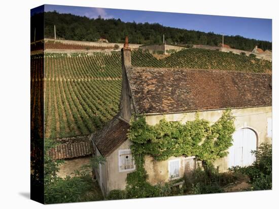 Old House and Vineyards, Bourgogne (Burgundy), France-John Miller-Premier Image Canvas