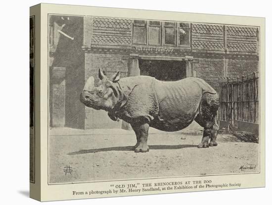 Old Jim, the Rhinoceros at the Zoo-null-Premier Image Canvas