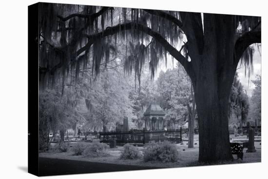 Old Live Oak Cemetery, Selma, Alabama-Carol Highsmith-Stretched Canvas