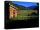 Old Log Homestead near Park City, Utah, USA-Howie Garber-Premier Image Canvas