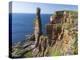 Old Man of Hoy, Orkney islands, Scotland.-Martin Zwick-Premier Image Canvas