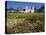 Old Mission Santa Barbara, Santa Barbara, California, United States of America, North America-Richard Cummins-Premier Image Canvas