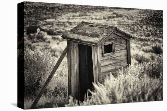 Old Outhouse in the Field-George Oze-Premier Image Canvas