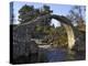 Old Packhorse Bridge, Carrbridge, Highlands, Scotland, United Kingdom, Europe-Gary Cook-Premier Image Canvas