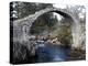 Old Packhorse Bridge Near Forres, Morayshire, Scotland, United Kingdom, Europe-David Lomax-Premier Image Canvas