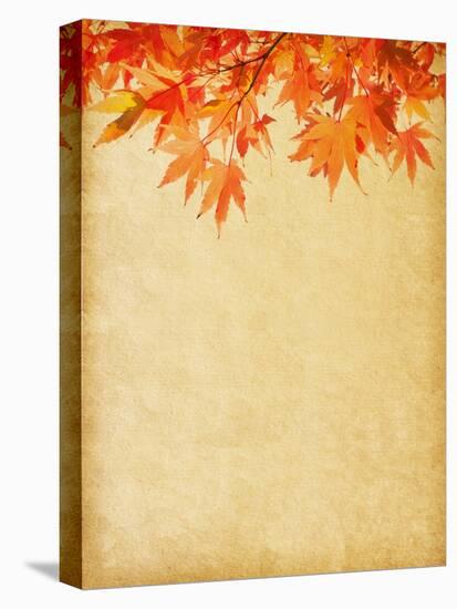 Old Paper with Autumn Leaves-A_nella-Stretched Canvas