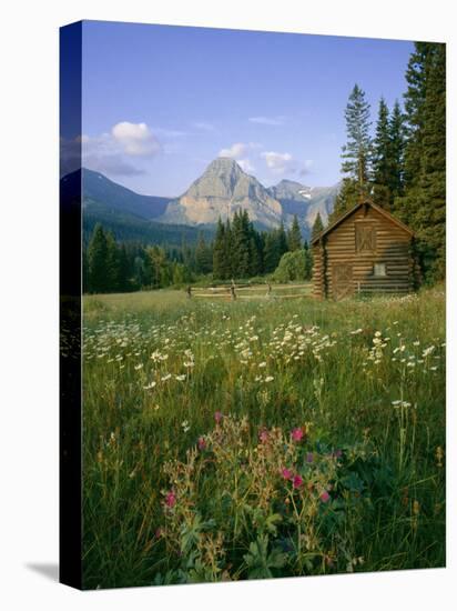 Old Park Service cabin in the Cut Bank Valley of Glacier National Park in Montana-Chuck Haney-Premier Image Canvas