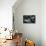 Old Piano-Nathan Wright-Premier Image Canvas displayed on a wall