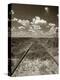 Old Railroad Tracks-Aaron Horowitz-Premier Image Canvas