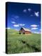 Old Red Barn in a Field of Spring Wheat-Terry Eggers-Premier Image Canvas