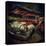 Old Retro 1960's Car Rusting Outdoors-Florian Raymann-Premier Image Canvas