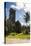 Old Ruins of a Church, Pohnpei, Micronesia, Central Pacific-Michael Runkel-Premier Image Canvas