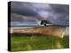 Old Rusty Lobster Boat on a Grassy Bank by the Ocean in Nova Scotia-Frances Gallogly-Premier Image Canvas