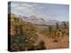 Old Spanish Trail-Bill Makinson-Premier Image Canvas