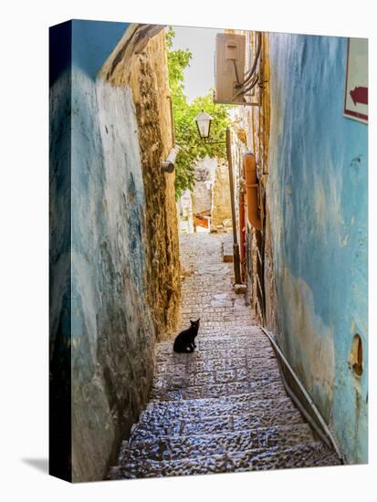 Old Stone Street with Black Cat, Safed, Tsefat, Israel-William Perry-Premier Image Canvas