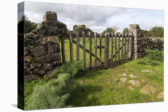 Old Stone Wall and Wooden Fence Keep in Sheep Living at Parco Archeologico Di Iloi, Italy, Oristano-Alida Latham-Premier Image Canvas