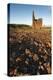 Old Tin Mine Workings, Botallack, Pendeen,Cornwall, England-Paul Harris-Premier Image Canvas