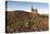 Old Tin Mine Workings, Botallack, Pendeen,Cornwall, England-Paul Harris-Premier Image Canvas