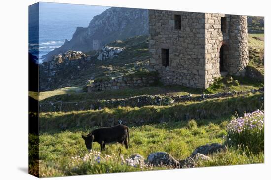 Old Tin Mine Workings, Botallack, Pendeen,Cornwall, England-Paul Harris-Premier Image Canvas