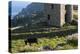 Old Tin Mine Workings, Botallack, Pendeen,Cornwall, England-Paul Harris-Premier Image Canvas