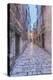 Old Town Alley-Rob Tilley-Premier Image Canvas