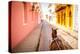 Old Town, Cartegena, Colombia, South America-Laura Grier-Premier Image Canvas