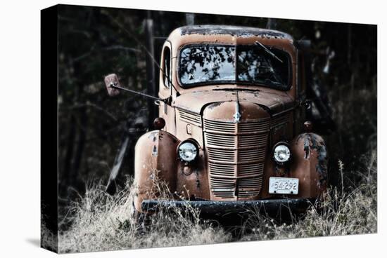 Old Truck in a Field-Shane Settle-Stretched Canvas