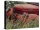 Old Truck in Grassy Field, Whitman County, Washington, USA-Julie Eggers-Premier Image Canvas